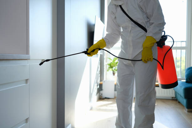Best Post-Flood Mold Remediation in , KY